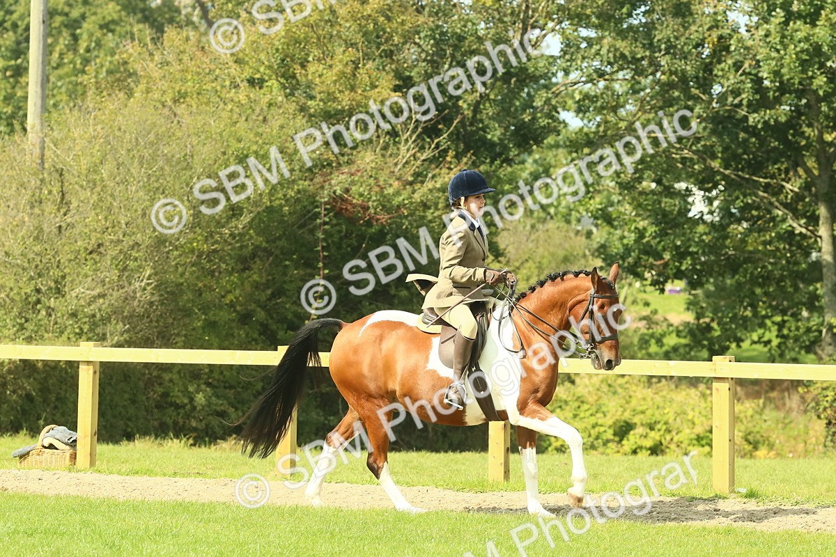 SBM_67450 - S56 - Coloured Pony Ridden