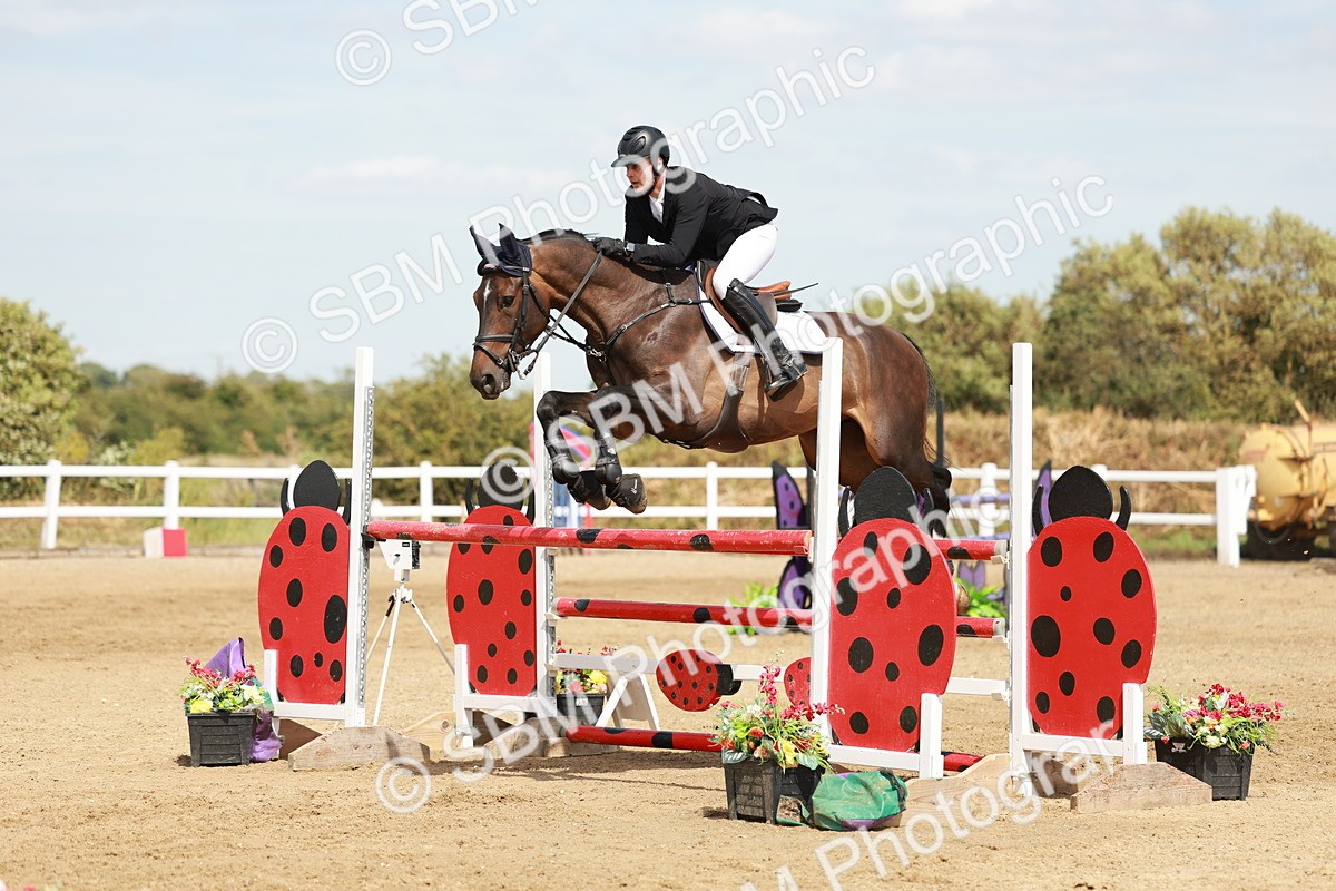 SBM_007983 - Class 4 - Senior Foxhunter - 1.20m Open