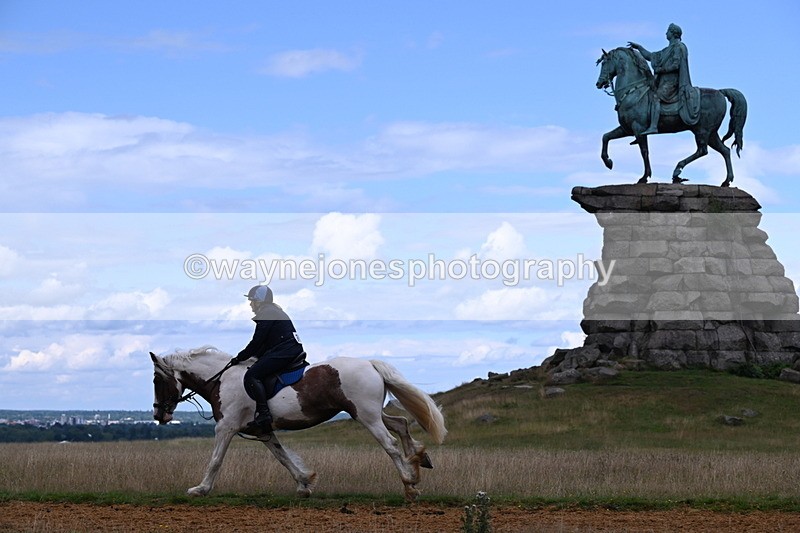 DSC_9756 - Time at Statue 15:11 to 15:58