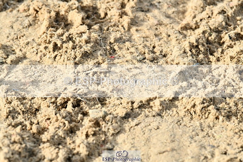 251004A-095050-00272 - Classes 1-2-3 40cm