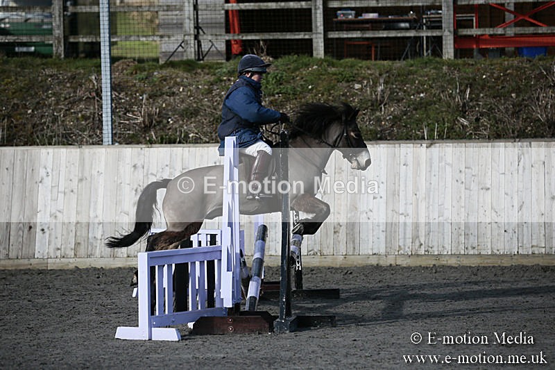 BVRC SJ 170319 6 - Bourne Valley Riding Club Showjumping 17/03/19
