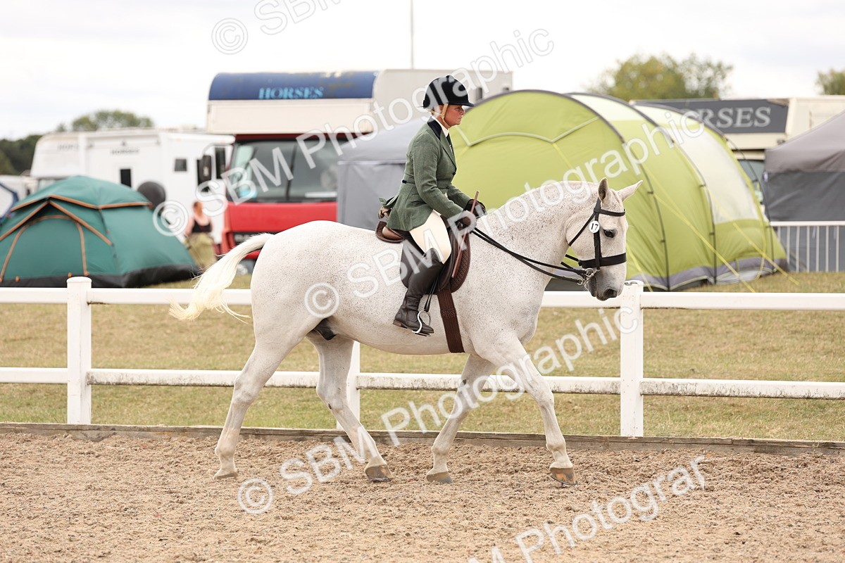 SBM_19497 - Class 215 - Ridden Show cob