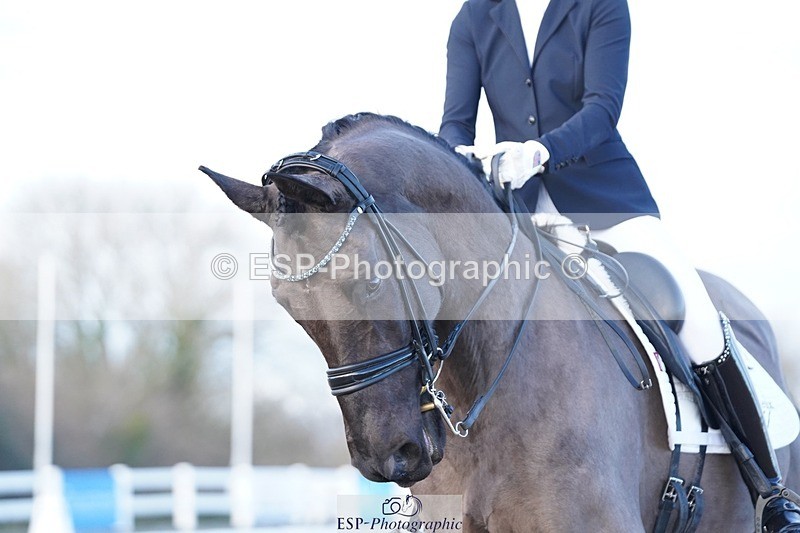 241214-155532-02283 - 139-Holly.Kerslake-Platinum.Cabachon