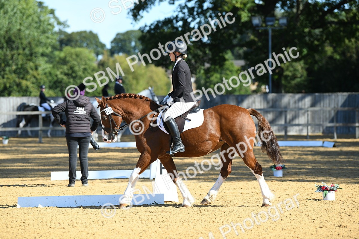 SBM_18037 - D4 - Small Tour Championship - Intro B