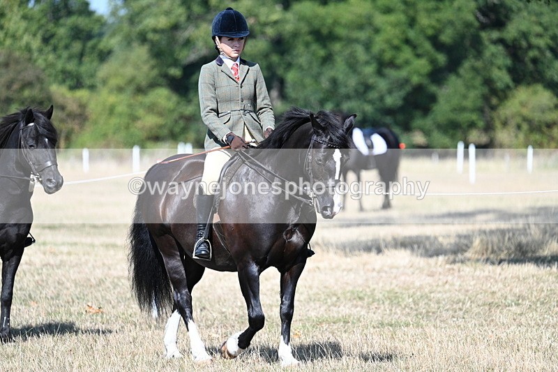 WJ7_3388 - Class 9 Mountain & Moorland Ridden