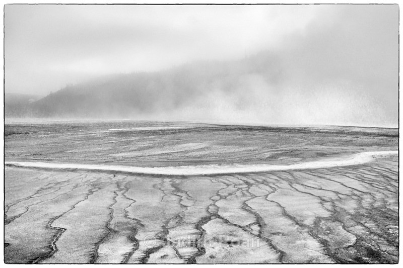 Yellowstone Geyser Area - Yellowstone