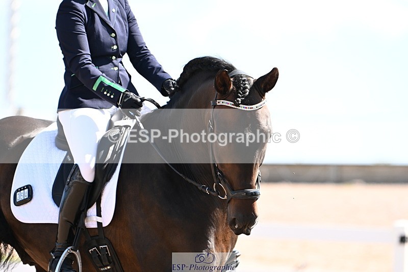 240816A-114918-04129 - 254-Suzanne.Jackson-Bodeguero.CXII