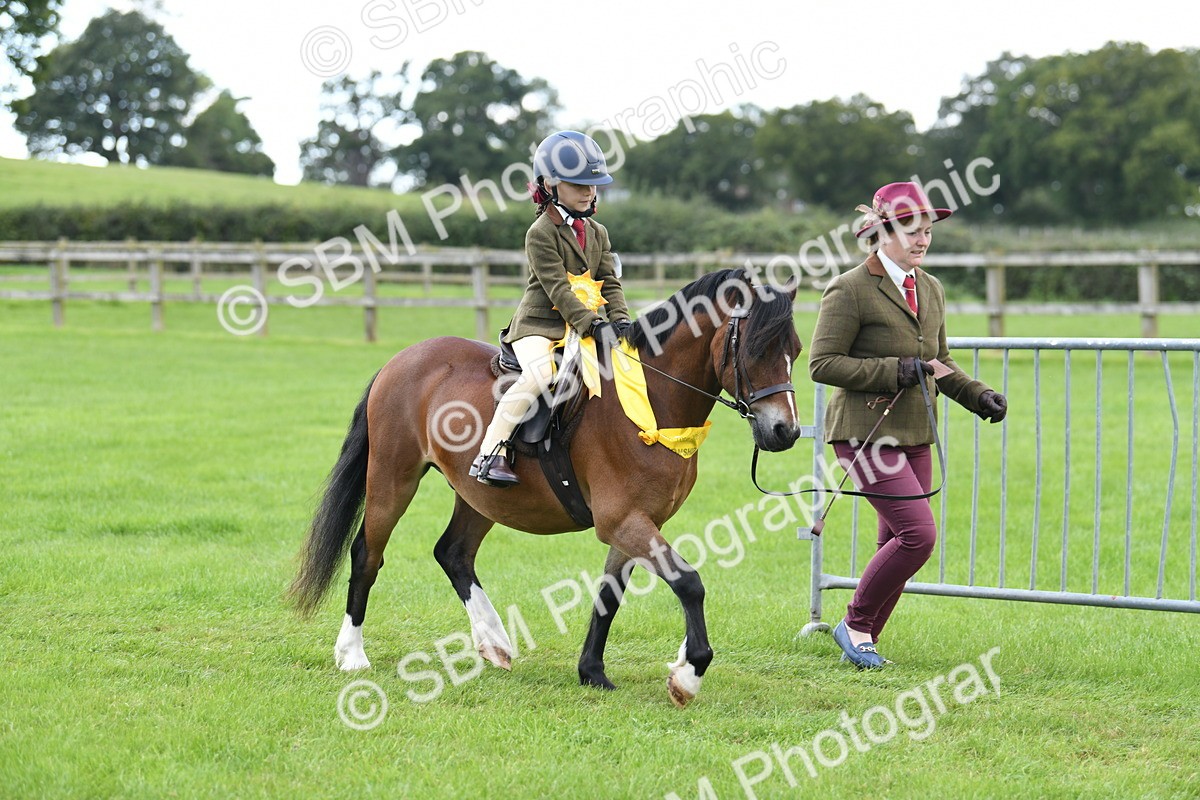 SBM_42699 - S20 - Lead Rein Mountain & Moorland Pony