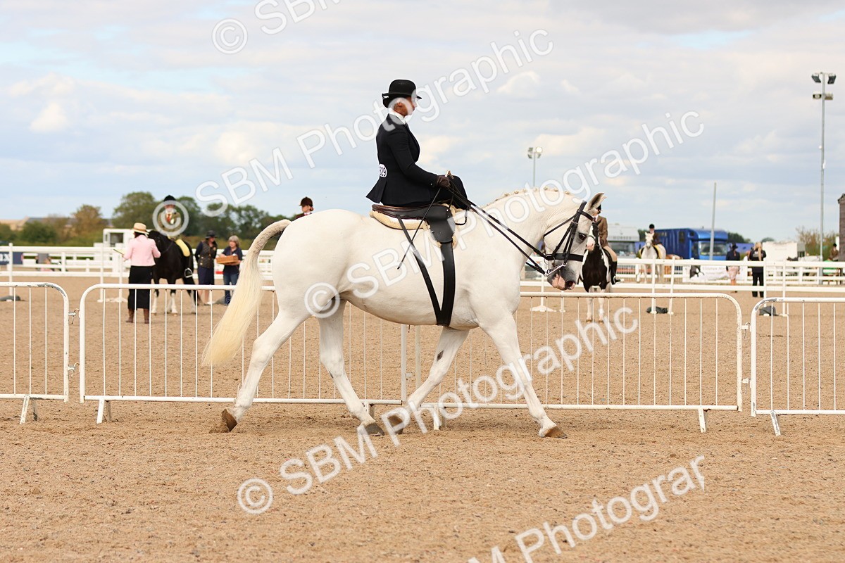 SBM_15886 - Class 216 - Best Side Saddle Horse-Pony