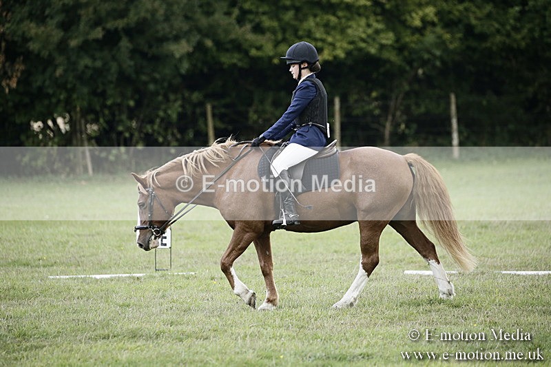 BVR090918 243 - BVRC Dressage and Show Jumping 09/09/18