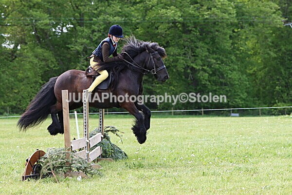 IMG_3291 - Working Hunter