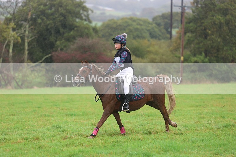 3E7A1038 - Class 1: 65cm: Rails