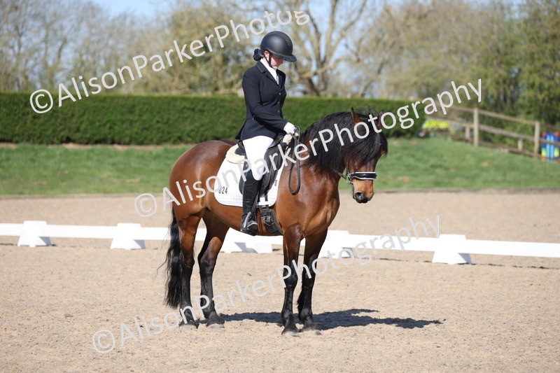 20250406-0448 - Class 3 - Novice 5