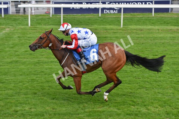 yr09072021r3-23 - Race 3 3.15pm William Hill Pick Your Places Irish EBF Novice Stakes