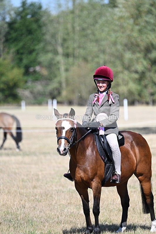 WJ7_4193 - Class 9 Mountain & Moorland Ridden