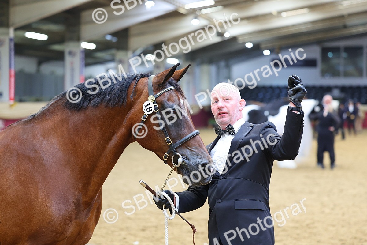 SBM_22704 - Class 903 - Supreme Final - IH Pre Vet