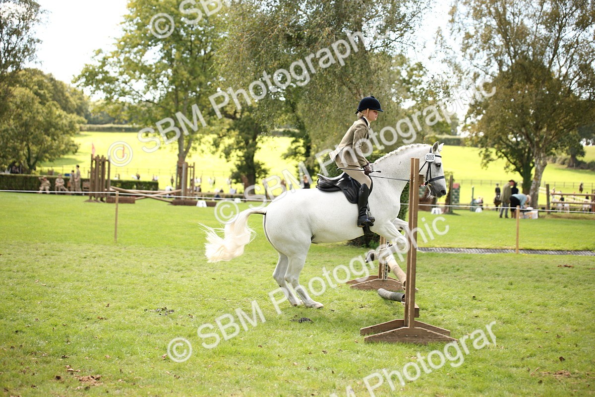 SBM_42334 - S13 - Pony Club Pony