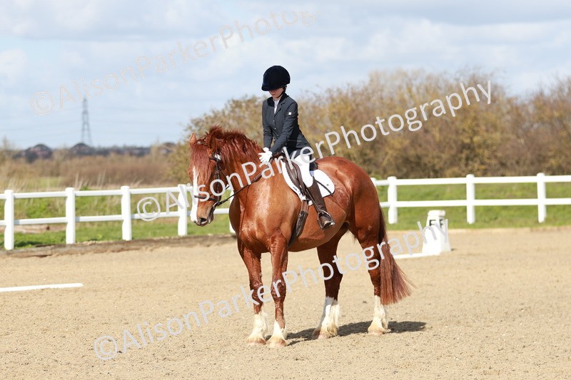 20260314-2941 - DR3 - Prelim 1