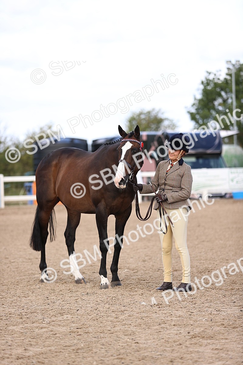 SBM_11551 - Class 407 - IH Hack-Riding Horse
