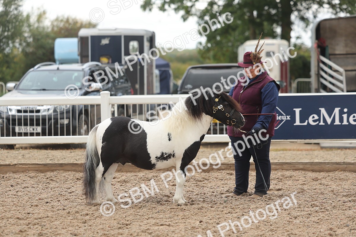 SBM_03267 - Class 16 - IH M&M Wildcard