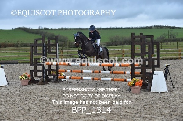 BPP_1314 - CLASS 5 Pony BritiNovice / 0.80m Open