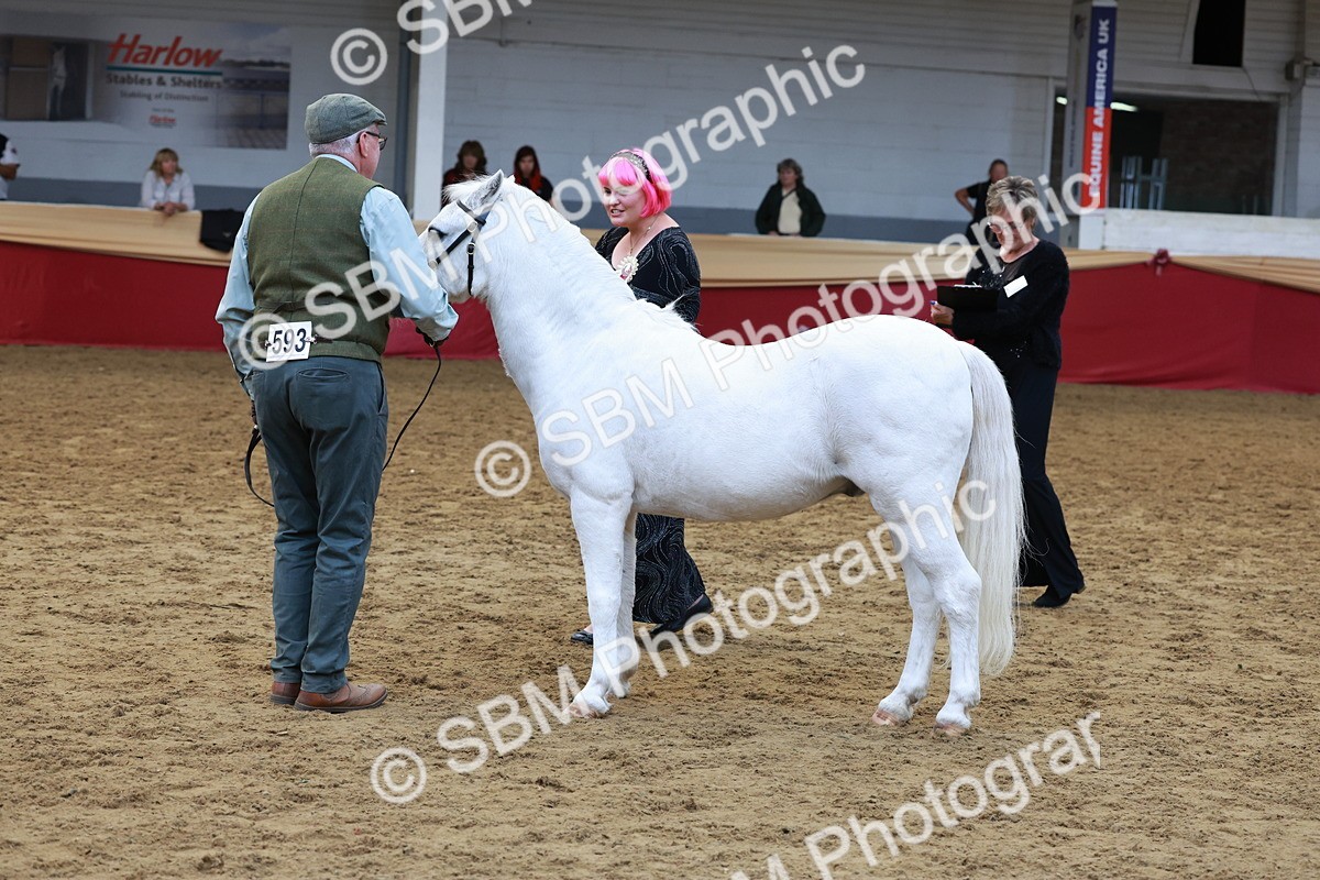 SBM_17379 - Class 951 - M&M IH Supreme Final