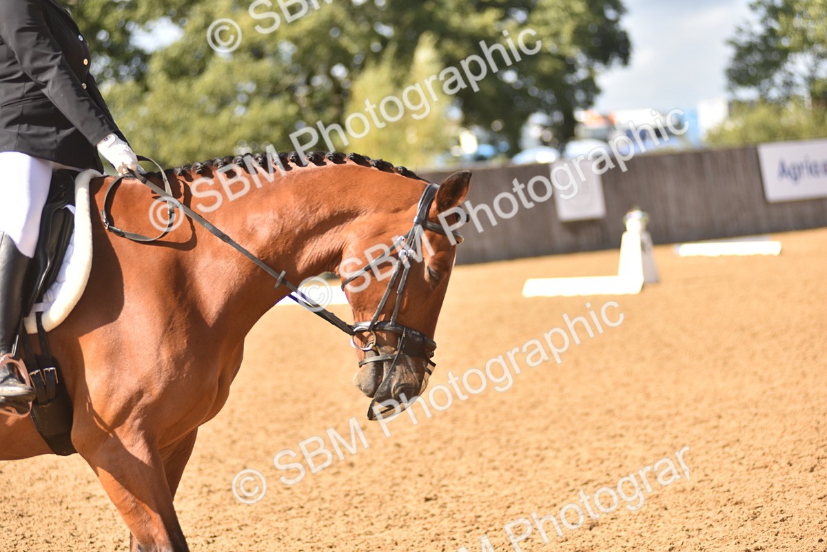SBM_48758 - D22 - Junior Championship Intro 3