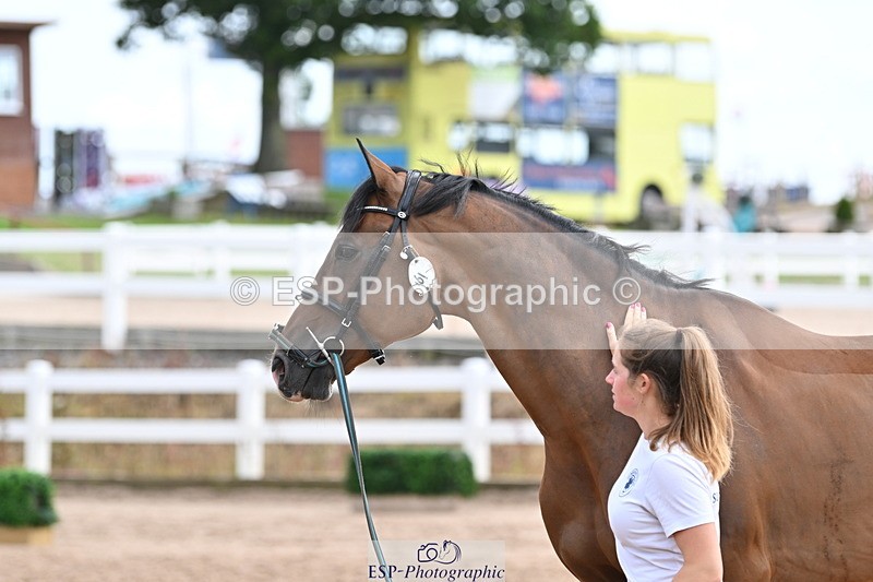 240717A-142802-02075 - Trot Up 2pm to 3pm - This folder is not in time order