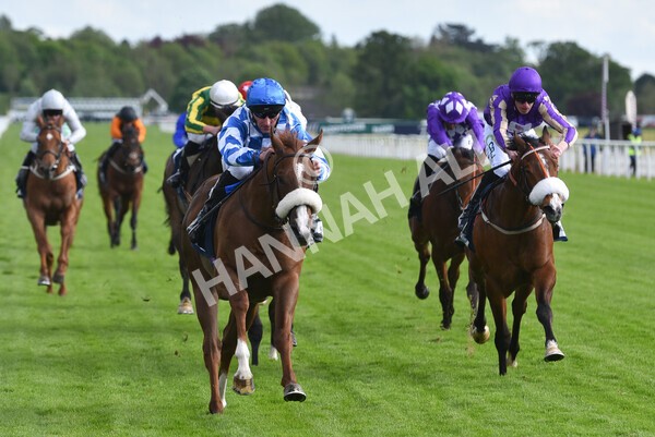 yr11052022r7-21 - Race 7 5.15pm British Stallion Studs EBF Novice Stakes