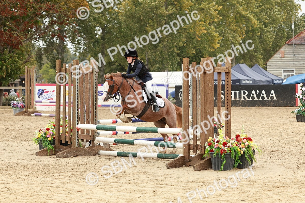 SBM_69157 - J13 - Junior Pony 60cm Championship