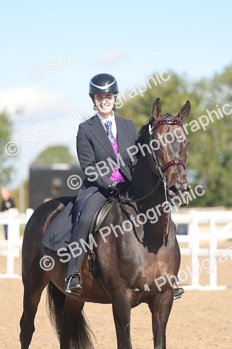 SBM_13067 - Class 305 - Ridden Foreign Breed Pure Bred
