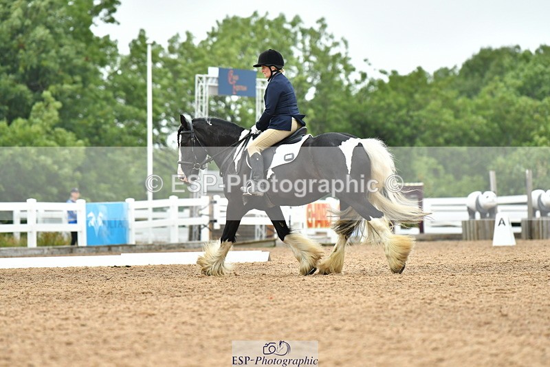 230708A-105121-02421 - Prelim 13