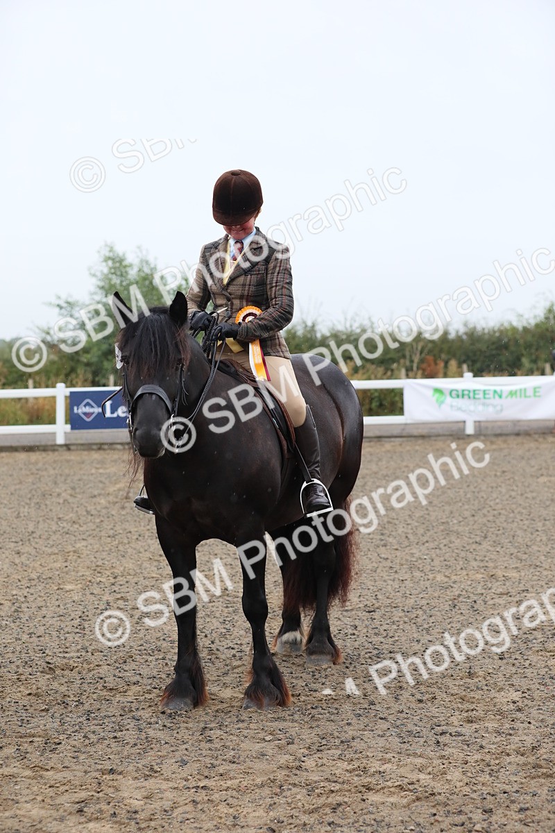 SBM_19967 - Class 801 - Ridden Veteran