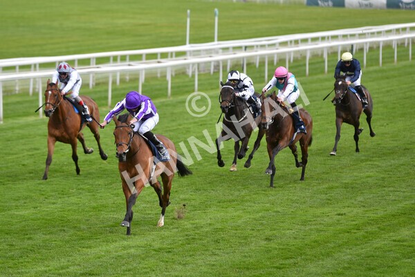 yr12052021r4-33 - Race 4 3.10pm Tattersalls Musidora Stakes
