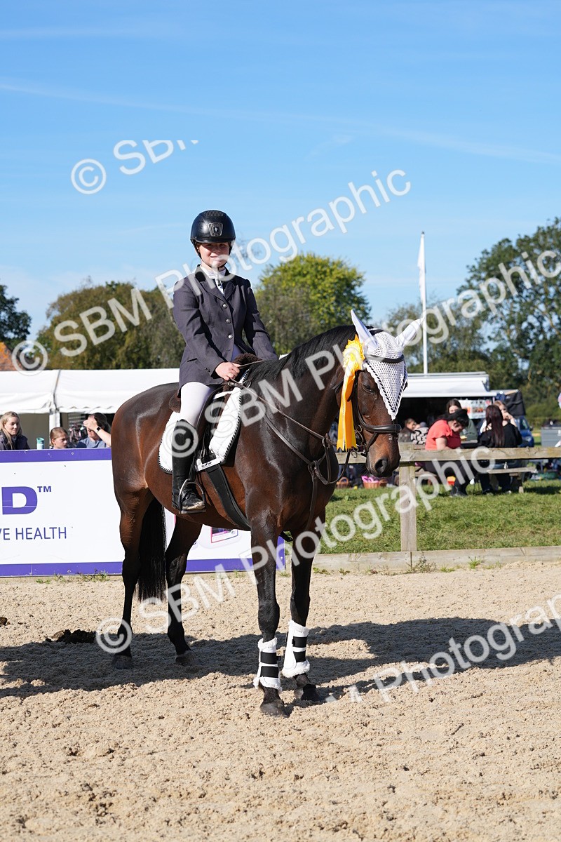 SBM_36245 - J 20 - Junior Horse 50cm Championship