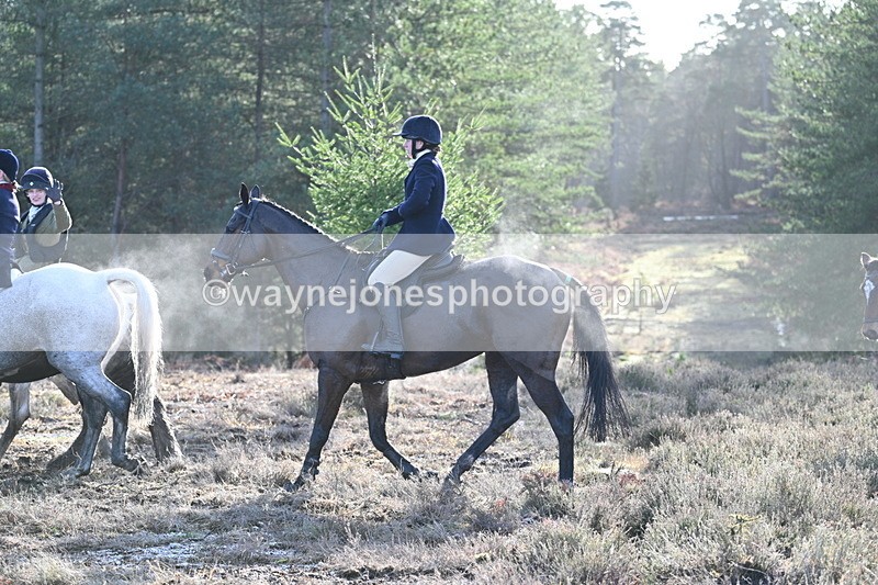 WJ7_7232 - Line 3 (no line 4 or 5)