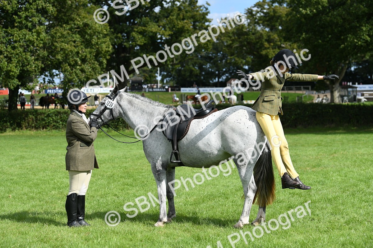 SBM_46890 - S12 - Family Horse & Pony