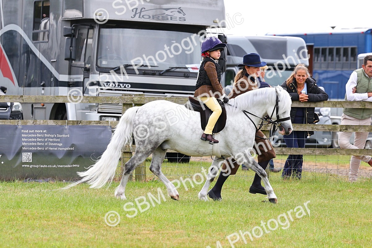 SBM_08252 - Class 42-43 - LIHS BSPS Heritage Working Sports Pony