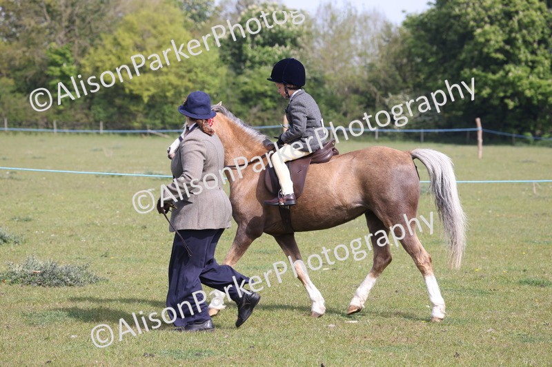 20260426-0546 - Class 30 - Tiny Tots Lead Rein