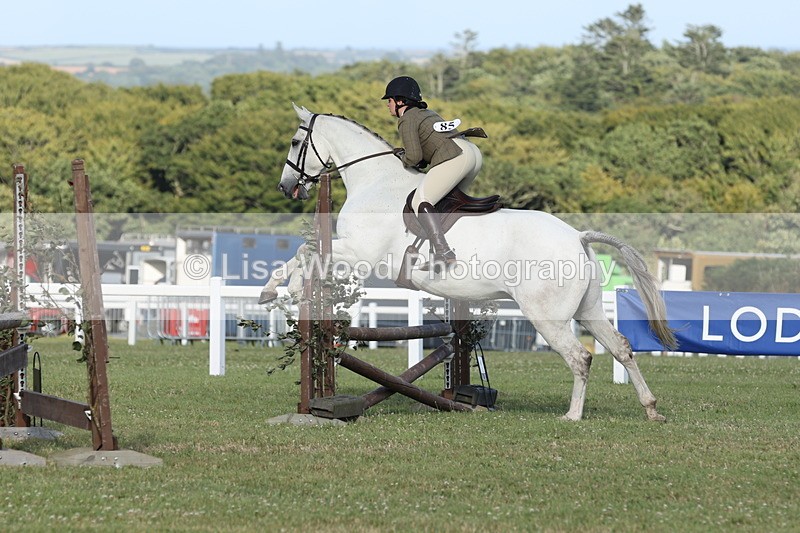 JPP_3469 - Class 22: Working Hunter 90cm