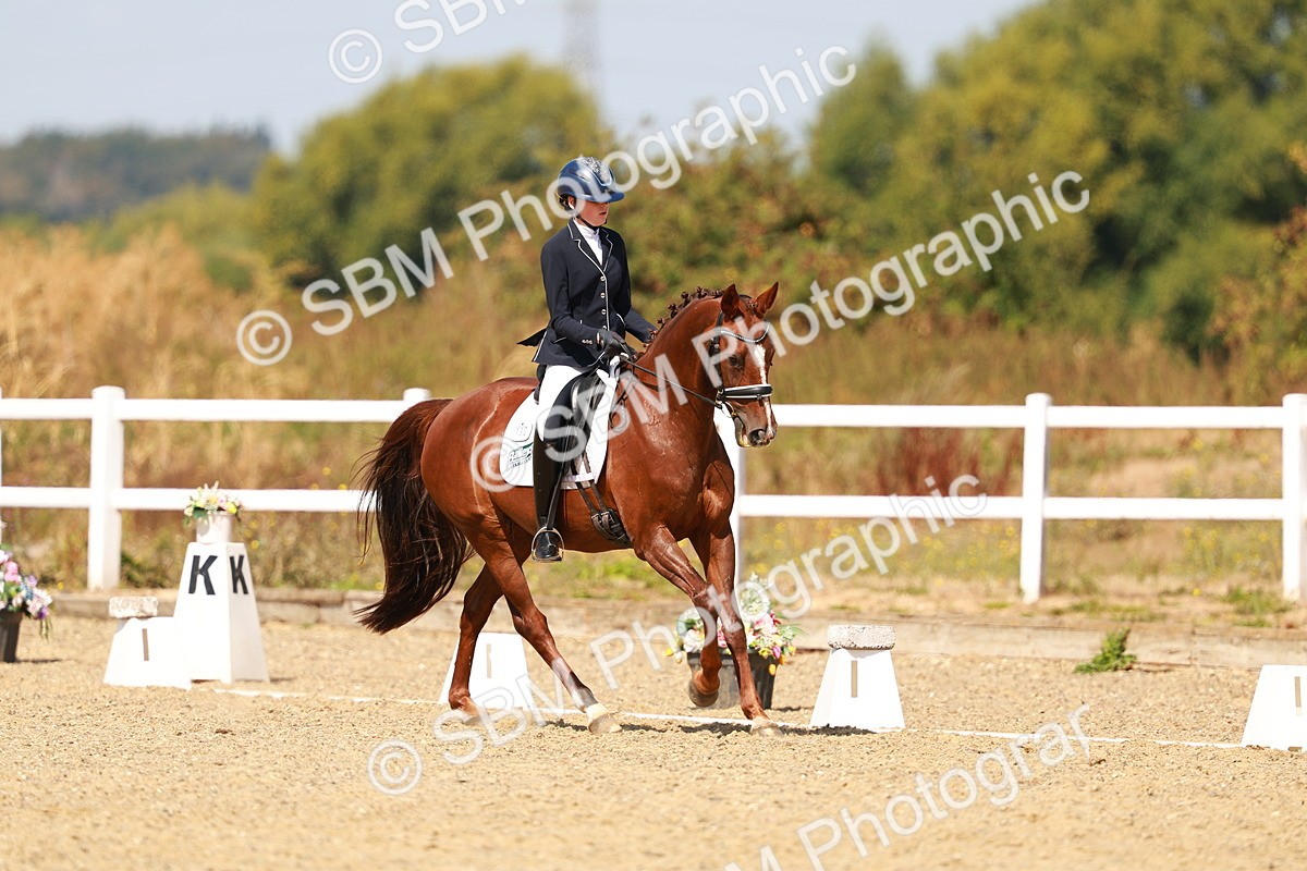 SBM_018319 - Class 9 - N5 Bronze 11.57.13.07