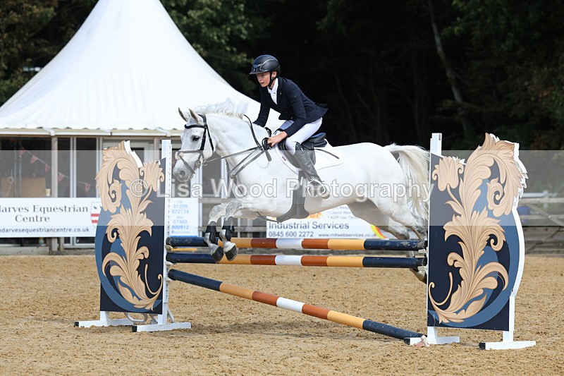 3E7A9196 - Class 9: Senior British Novice/90cm open