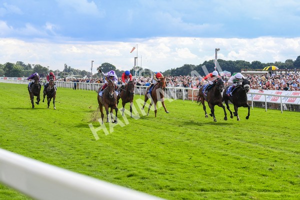 260823-Race 3-Kinross-0474 - Race 3 Sky Bet City Of York Stakes