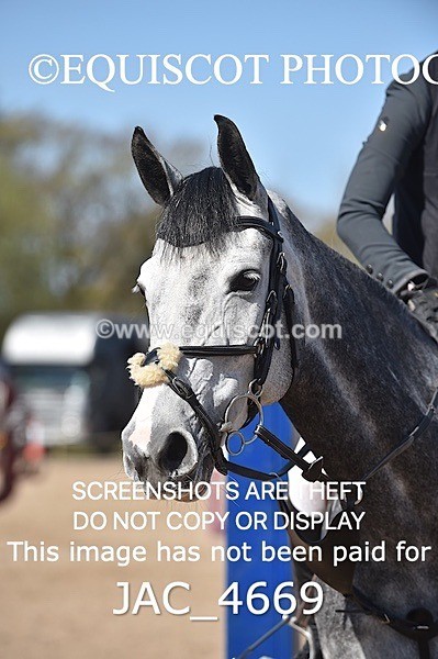 JAC_4669 - CLASS 11 SAT Andrew Hamilton Coach, RHS Foxhunter Championship Qualifier