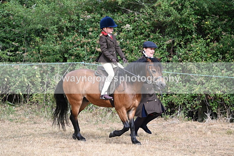 WJ7_6528 - Class 1 Lead Rein Pony