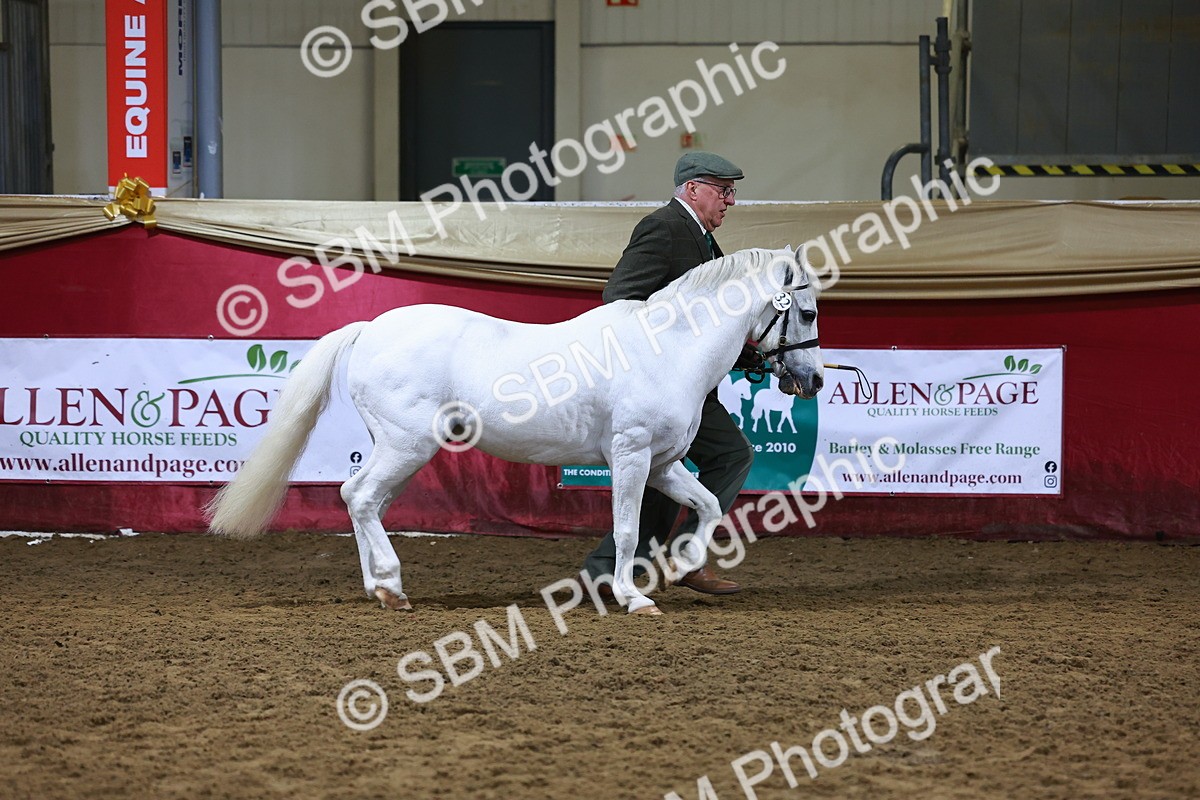 SBM_15231 - Class P - M&M Champ