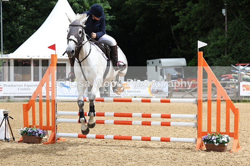 3E7A6048 - Class 4: Senior British Novice/90cm open