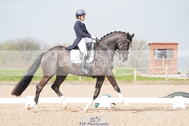 250404-103702-04337 - 016-Sarah.Millis-Le.Zorro.BH