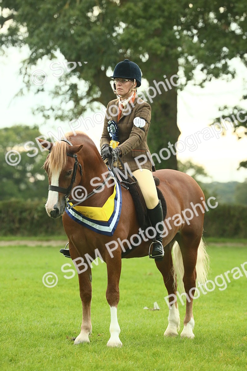 SBM_75272 - Super Supreme Championship