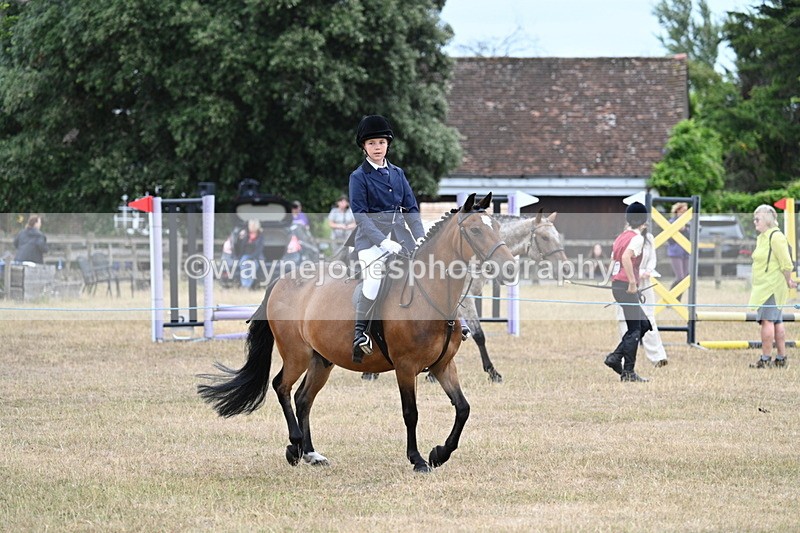 WJ7_7239 - Class 2 Best Rider